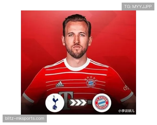 哈里·凯恩沙特冠军荣誉