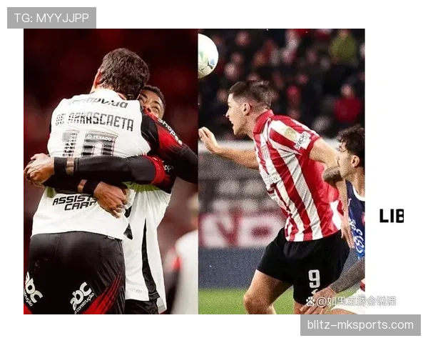 南美解放者杯事件最新回应