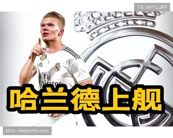 哈兰德奥德时期标王身份解析 哈兰德奥德时期标王身份解析